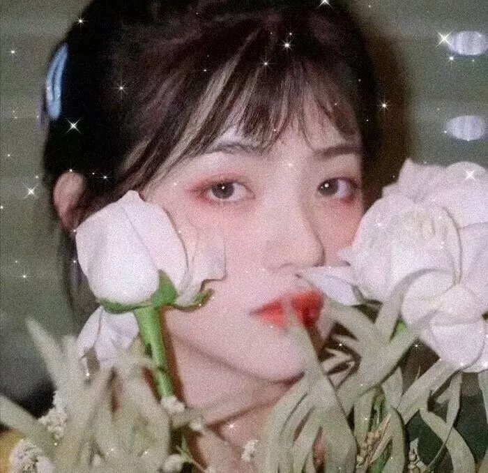 种马兄弟